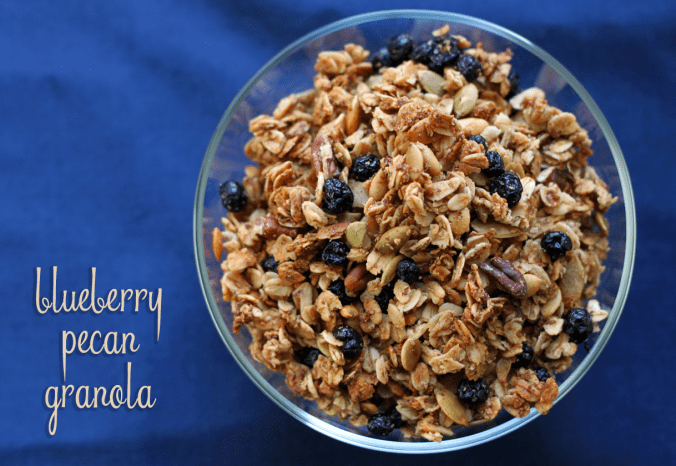 blueberry-pecan-granola_9765859846_o