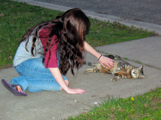 Photo of a long-haired young woman bending down and petting a stripy cat, who's lying on his side.