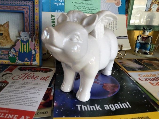 Pig and pamphlets at the Ginger Cat B&B in Watkins Glen, NY
