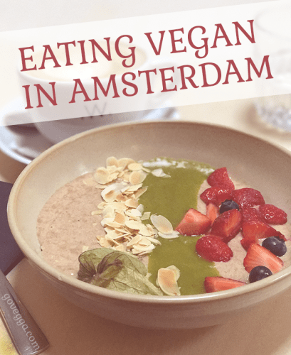 Eating vegan in Amsterdam // how to find vegan food in Amsterdam // govegga.com